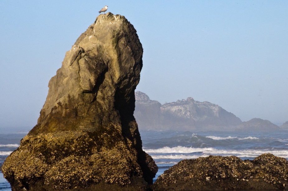 large-rock-at-the-beach
