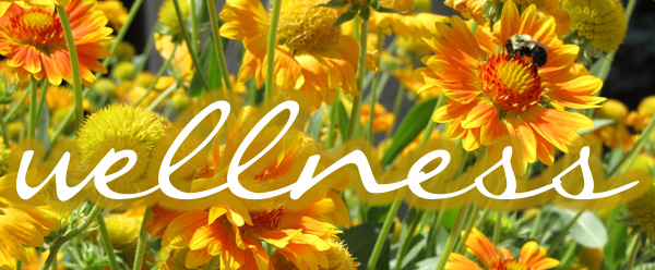 wellness-header