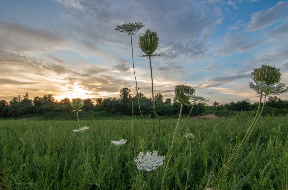 19984033_1341744249212402_2684262091173909412_o