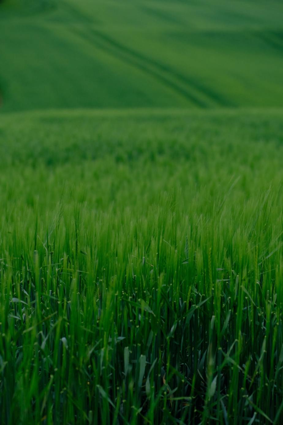 Not Uninformed, Not&nbsp;Unsettled