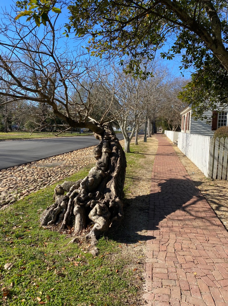 Twisted But Beautiful