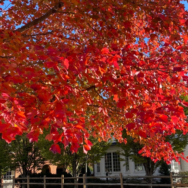 Prayer At Church This&nbsp;Morning