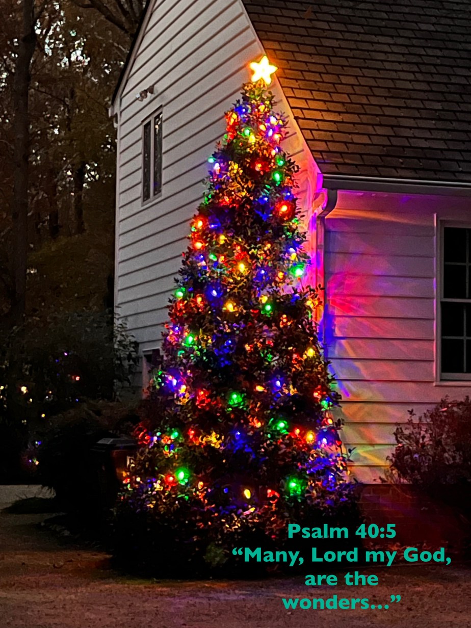 Many Are The&nbsp;Wonders