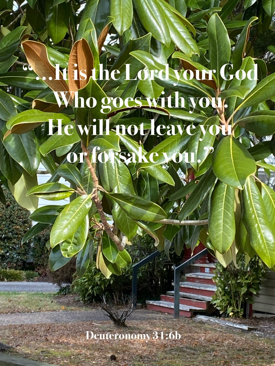 Everywhere Incognito