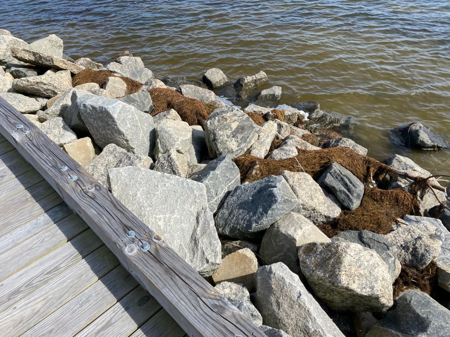 Afraid Yet Filled With&nbsp;Joy