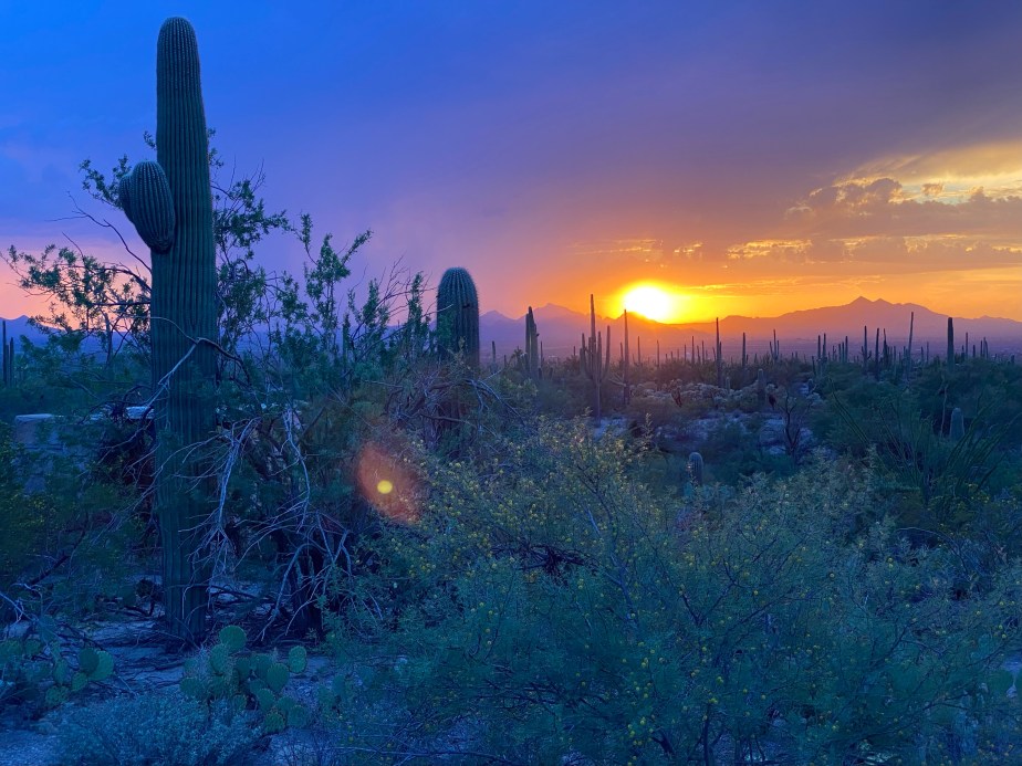 The Gift of&nbsp;Laughter