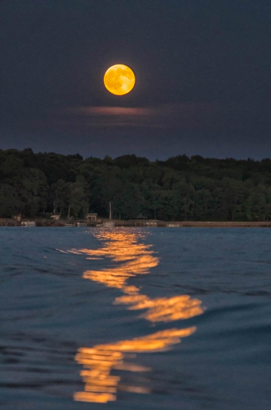 Yes or No&nbsp;Questions