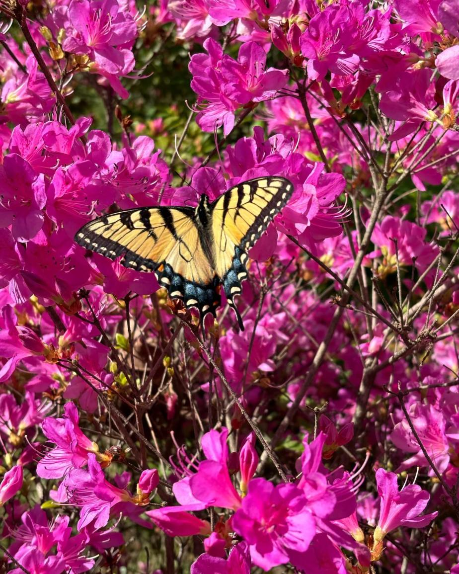 God Notices and&nbsp;Cares