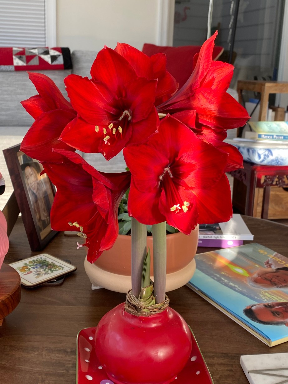 Psalm 40: Shadow and&nbsp;Light